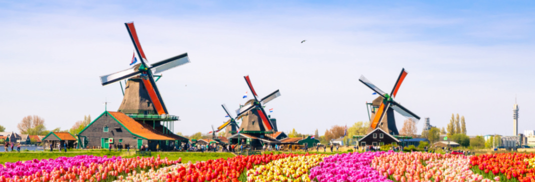 A quick guide to Amsterdam